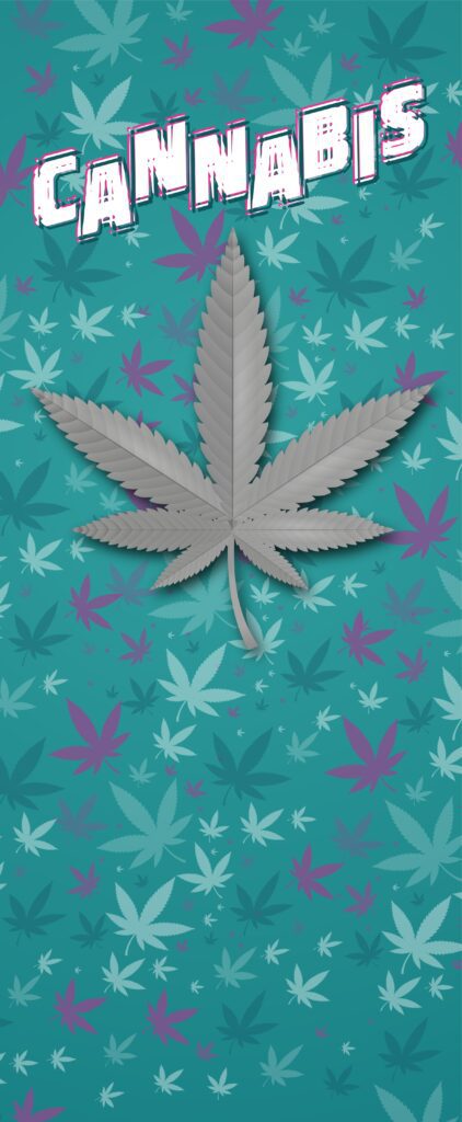 cannabis